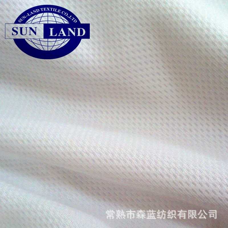 FC001 全涤鸟眼布 (3)