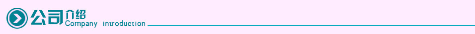 公司介绍