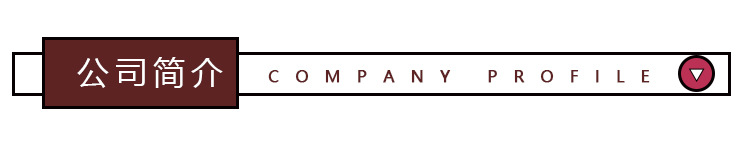 公司简介