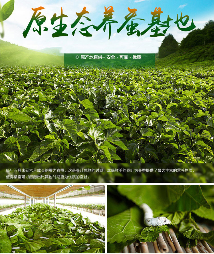 TB2dMxIpFXXXXb4XpXXXXXXXXXX_!!