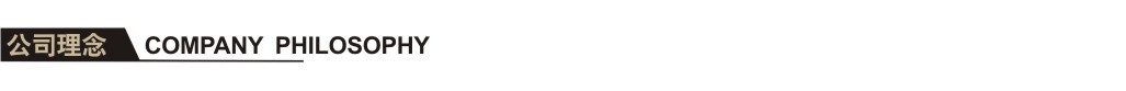 公司理念