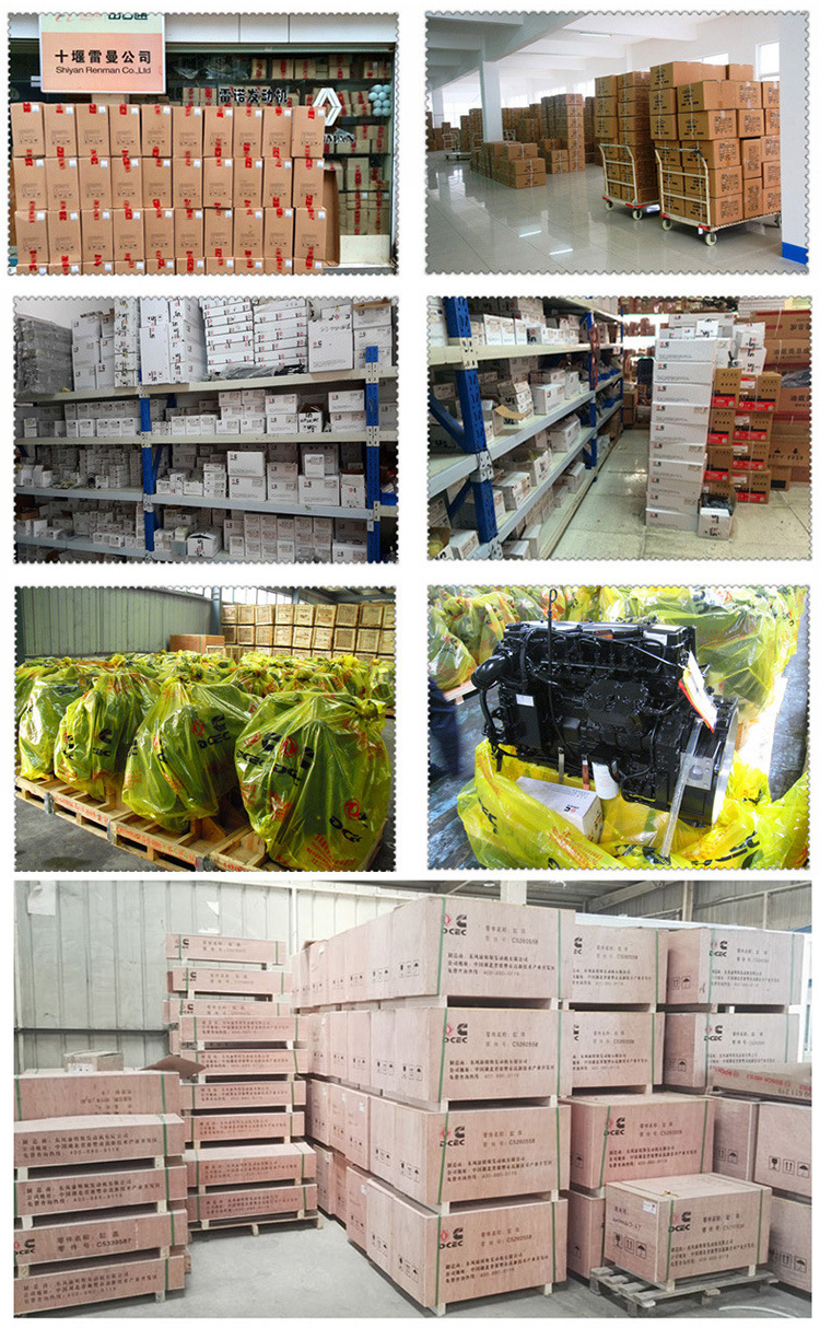 1880260389_1761948464