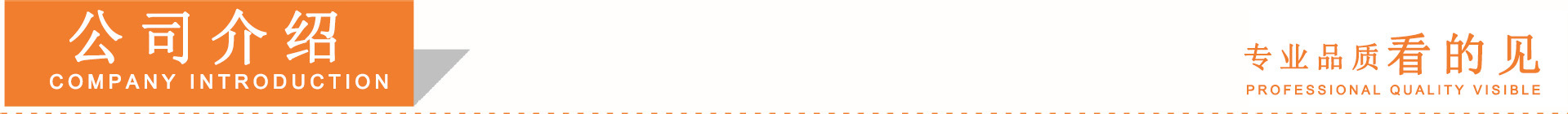公司介绍.jpg