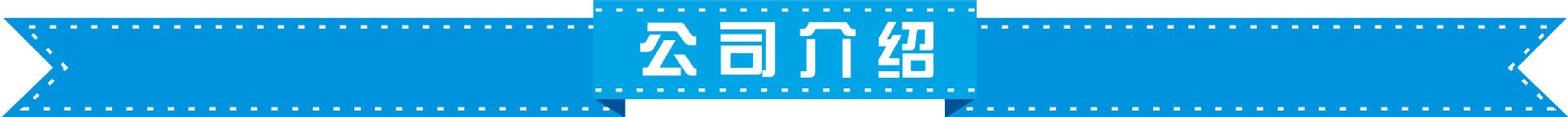 公司介绍