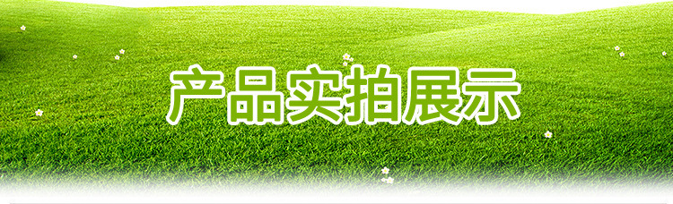 11475523676_1894374503_02