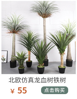 植物关联1_01_05.jpg