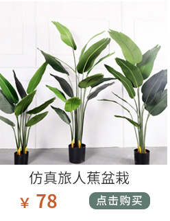 植物关联1_01_04.jpg