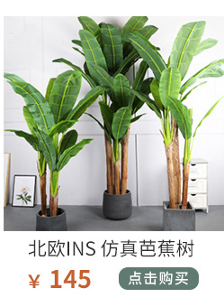 植物关联1_01_12.jpg