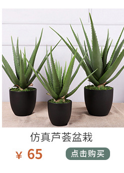 植物关联1_01_15.jpg