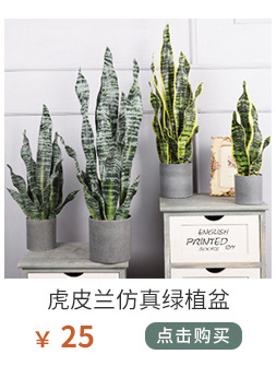植物关联1_01_14.jpg