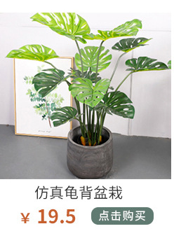 植物关联1_01_10.jpg