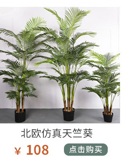 植物关联1_01_07.jpg