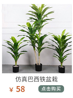 植物关联1_01_08.jpg