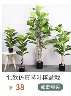 植物关联1_01_09.jpg