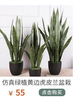 植物关联1_01_13.jpg