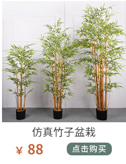 植物关联1_01_06.jpg