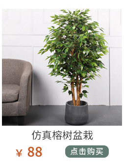 植物关联1_01_11.jpg
