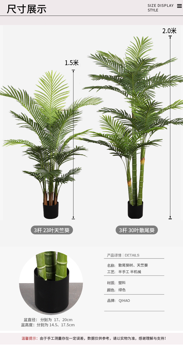 琪浩-新版棕榈树_02.jpg