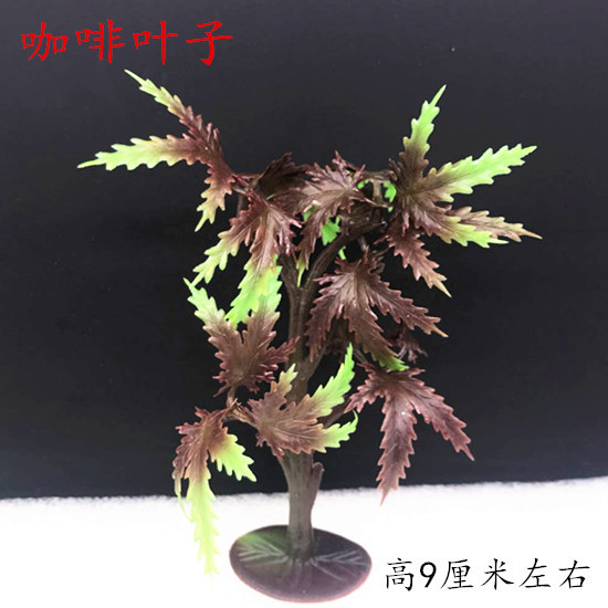 咖啡叶子
