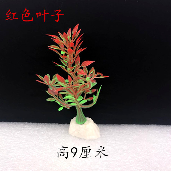 红色叶子