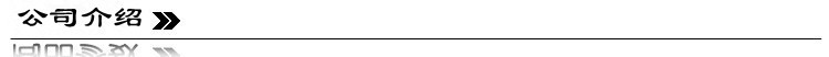 公司介绍