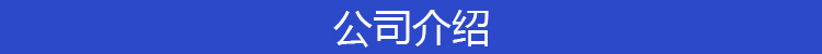 公司介绍